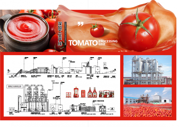 De volledige Productielijn van de de Ketchuptomatenpuree van het Tinblik 1 Jaargarantie