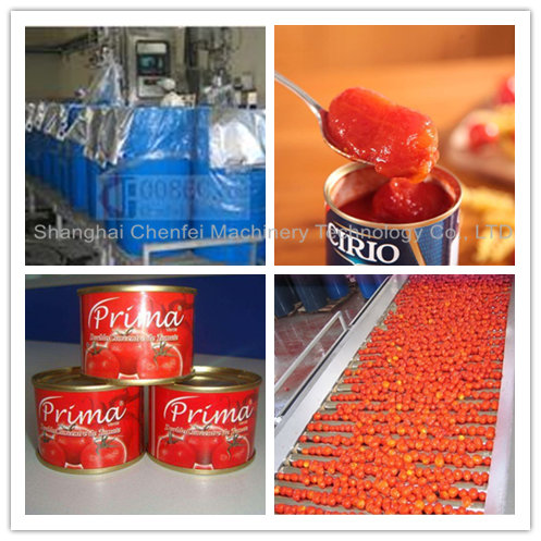Industriële de Lijnenergie van de Tomatenpureeverwerking - besparingshoog rendement