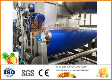 China SS304 de kant en klare Lijn van de Ananasverwerking 220V /380V leverancier