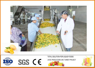 China Van de de Mangoverwerking van cfm-m-03-03T 3T/H de Lijnberoeps en Hoog rendement leverancier