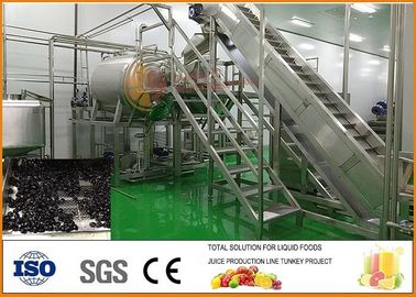 China De kant en klare SS304-Productielijn cfm-Pb-03-22T van het Bosbessengedroogd fruit leverancier