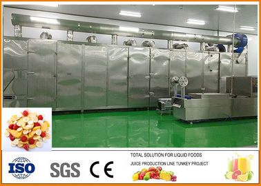 China Fruit en de Plantaardige Certificatie van de Gedroogd fruitproductielijn ISO9001 leverancier