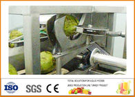Industrial  Coconut  Fruit Juice Production Line for Juice Or Milk