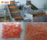 Carrot Beverage Processing Plant Full Automatic Easy Operation 1 Year Warranty