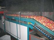 2 Ton Per Day Apple Juice Processing Plant Beverage Processing Line