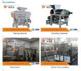 Guava Fruit Juice Processing Equipment SS304 Material CFM-B-03-26T Silver Color