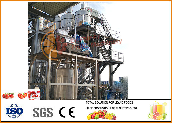 Small Concentrated Tomato Paste Production Plant ISO9001 Certification