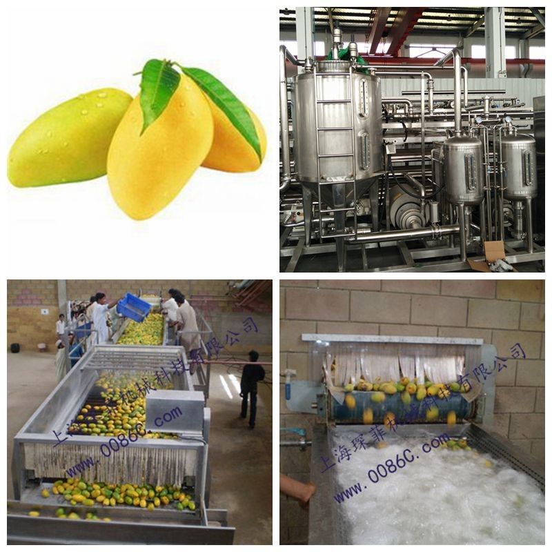 Paste Processing Line Mango Processing Line Plant In PET Glass Packing