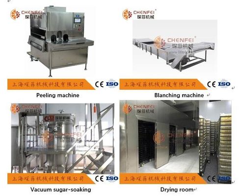 Automatische Productielijn 304 van het Kiwivruchtensap Roestvrij staalmateriaal
